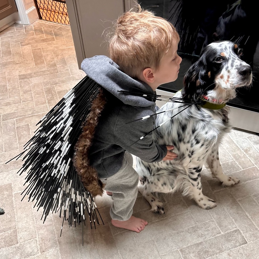 Porcupine toddler 3/4 costume
